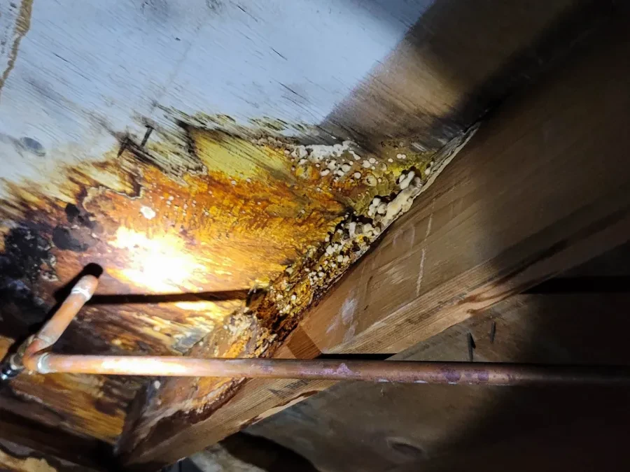 Crawl Space Insulation and Vapor Barrier Benefits in Elgin, IL Crawl Space Insulation and Vapor Barrier Benefits in Elgin, IL