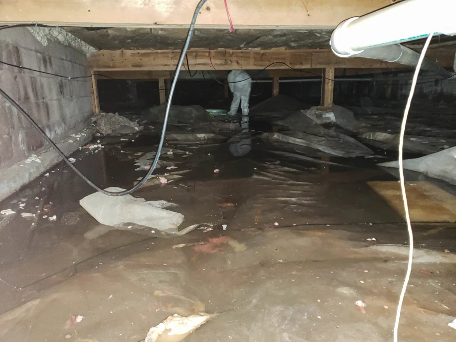 Professional Crawl Space Insulation in Elgin, IL